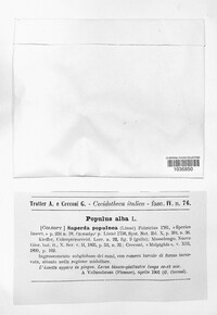 Image Associated With the Occurence